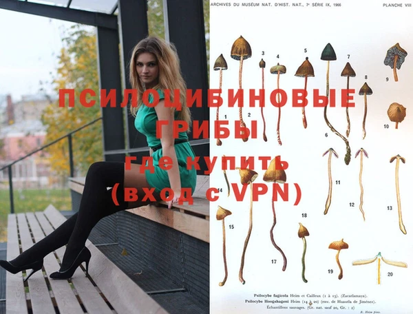 бошки Абаза
