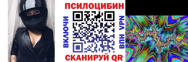 где найти наркотики  Кизляр  Галлюциногенные грибы MAGIC MUSHROOMS 