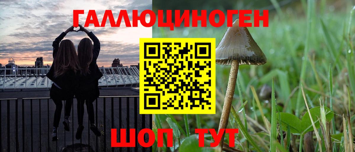 Псилоцибиновые грибы ЛСД Кизляр
