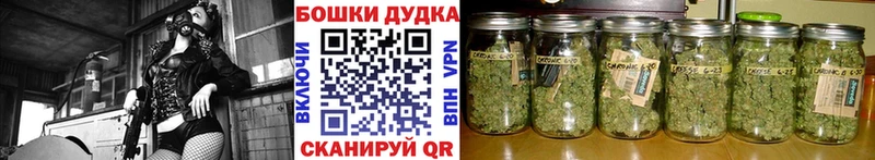 Конопля VHQ  купить наркотик  Кизляр 